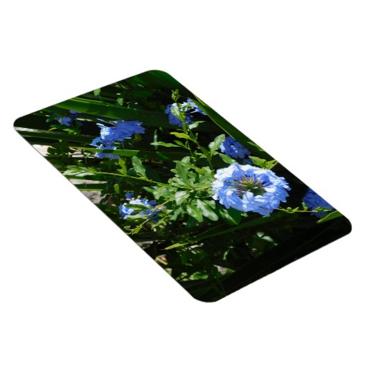 Flexibele Fotomagneet bloem blauw ontwerp Magneet (Rechterzijde)