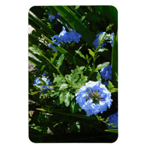 Flexibele Fotomagneet bloem blauw ontwerp Magneet