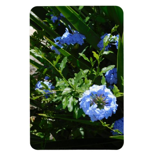 Flexibele Fotomagneet bloem blauw ontwerp Magneet (Verticaal)