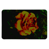 Flexibele Fotomagneet gouden eco Magneet (Horizontaal)