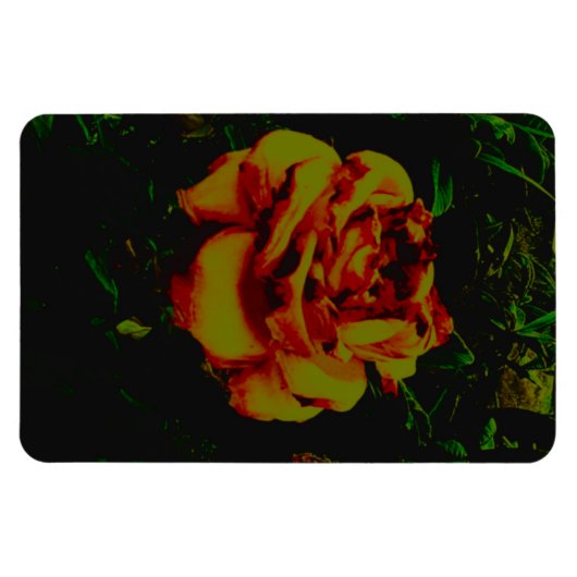 Flexibele Fotomagneet gouden eco Magneet (Horizontaal)