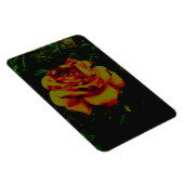 Flexibele Fotomagneet gouden eco Magneet (Rechterzijde)