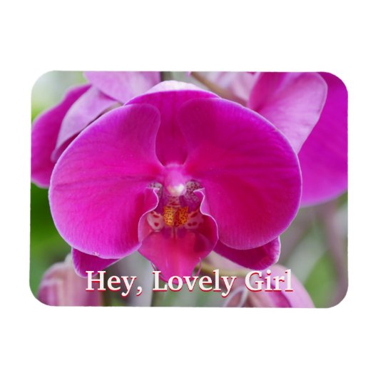 Flexibele fotomagneet magneet (Horizontaal)