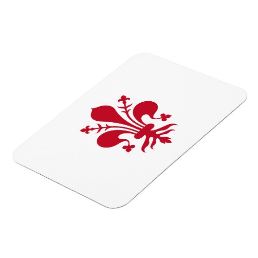 Flexibele fotomagneet met vlag van Florence Magneet (Linkerzijde)