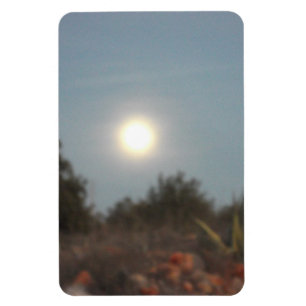 Flexibele Fotomagneet ontwerpstijl Magneet