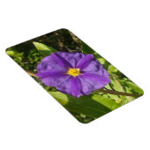 Flexibele fotomagneet paarse eco magneet (Rechterzijde)