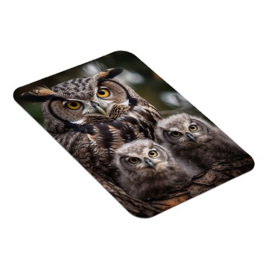 Flexibele fotomagneet van de Owl Familie Magneet (Rechterzijde)