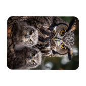 Flexibele fotomagneet van de Owl Familie Magneet (Horizontaal)