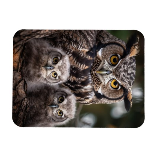 Flexibele fotomagneet van de Owl Familie Magneet (Horizontaal)