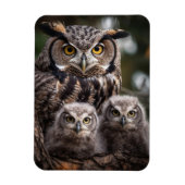 Flexibele fotomagneet van de Owl Familie Magneet (Verticaal)