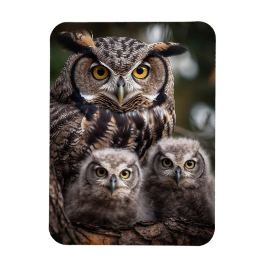 Flexibele fotomagneet van de Owl Familie Magneet (Verticaal)
