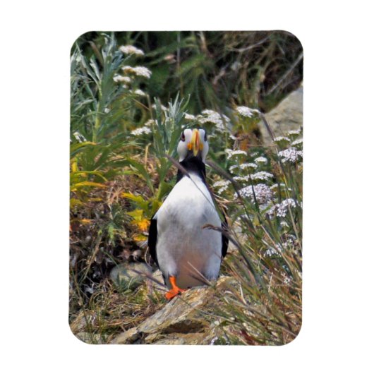 Flexibele fotomagneet van puffin magneet (Verticaal)