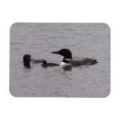 Flexibele fotomagneet voor de Loon-familie Magneet (Horizontaal)