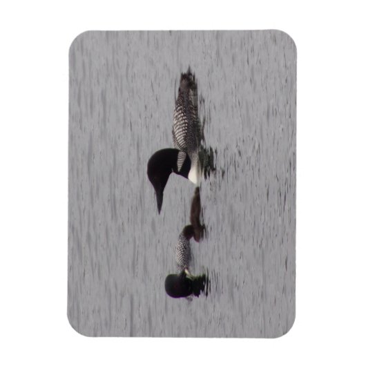 Flexibele fotomagneet voor de Loon-familie Magneet (Verticaal)