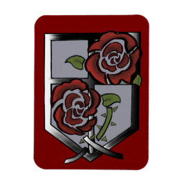 Flexibele fotoweergave magneet