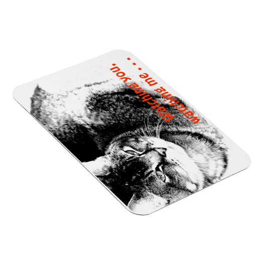 Flexibele Fridge Magnet - Watchful Cat! Magneet (Rechterzijde)