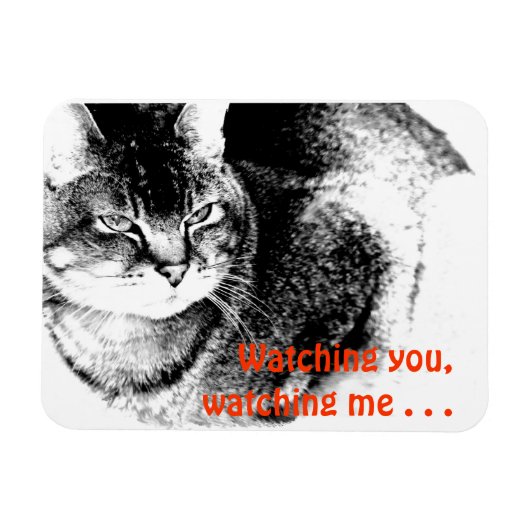 Flexibele Fridge Magnet - Watchful Cat! Magneet (Horizontaal)