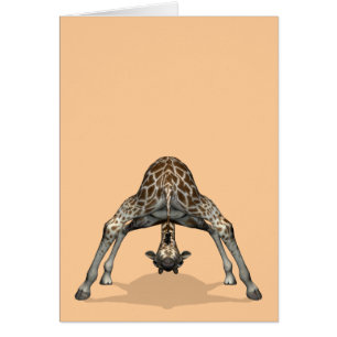 Flexibele Giraffe