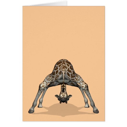 Flexibele Giraffe (Voorkant)