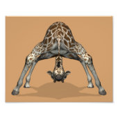 Flexibele Giraffe Foto Afdruk (Voorkant)