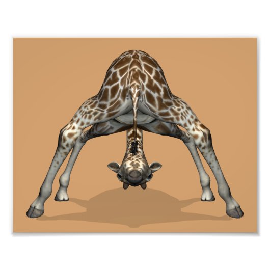 Flexibele Giraffe Foto Afdruk (Voorkant)