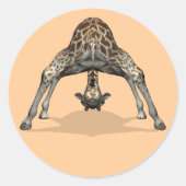 Flexibele Giraffe Ronde Sticker (Voorkant)