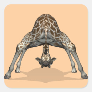 Flexibele Giraffe Vierkante Sticker