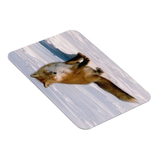 Flexibele koelkast voor rode Arctische winter Magneet (Rechterzijde)