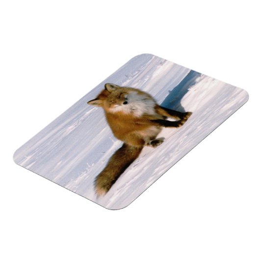 Flexibele koelkast voor rode Arctische winter Magneet (Linkerzijde)