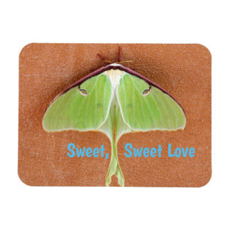 Flexibele magneet met maanvlinder