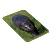 Flexibele magneet van nijlpaardbaby (Rechterzijde)
