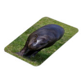 Flexibele magneet van nijlpaardbaby (Linkerzijde)