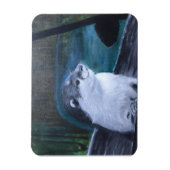 Flexibele magneet van rivierotter (Verticaal)