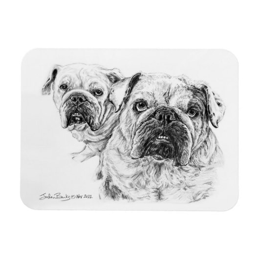 Flexibele Magneet van The Bald Divas! (Horizontaal)