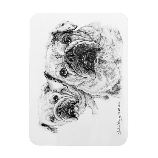 Flexibele Magneet van The Bald Divas! (Verticaal)