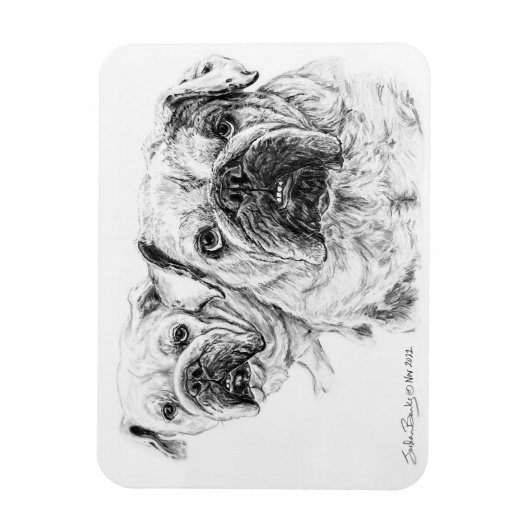 Flexibele Magneet van The Bald Divas! (Verticaal)