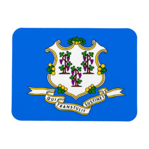 Flexibele patriottische magneet met Connecticut-vl