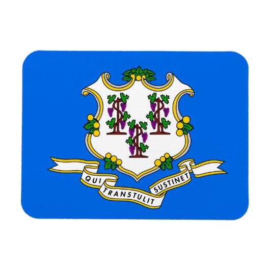 Flexibele patriottische magneet met Connecticut-vl (Horizontaal)