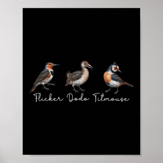 Flicker Dodo Titmouse Funny Bird Clever Birdwatche Poster (Voorkant)