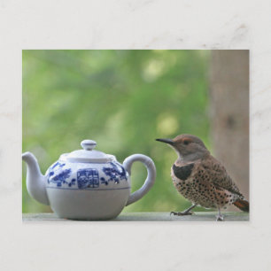 Flicker en Teapot Briefkaart