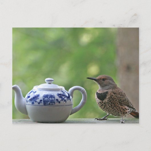 Flicker en Teapot Briefkaart (Voorkant)