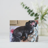 Flicker of the Tongue Briefkaart (Staand voorkant)