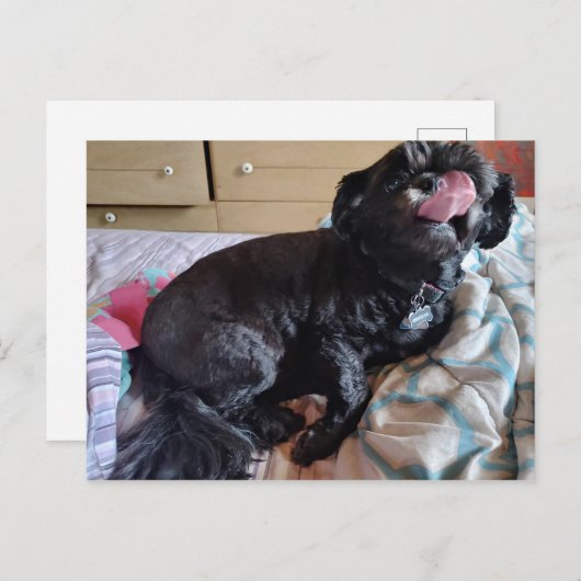 Flicker of the Tongue Briefkaart (Voorkant / Achterkant)