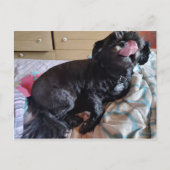 Flicker of the Tongue Briefkaart (Voorkant)