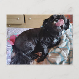 Flicker of the Tongue Briefkaart