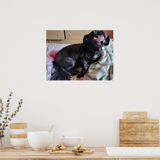 Flicker of the Tongue Poster (Keuken)