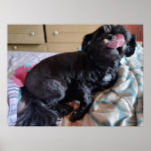 Flicker of the Tongue Poster (Voorkant)