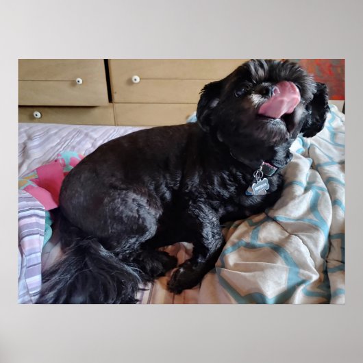 Flicker of the Tongue Poster (Voorkant)