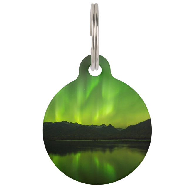 Flicking Aurora Huisdierpenning (Voorkant)