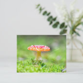 Fliegenpilz Briefkaart (Staand voorkant)